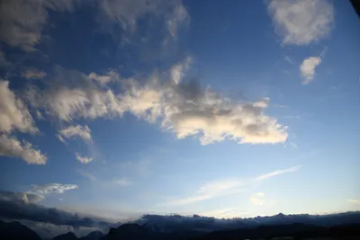 DSC_7064 (Large).JPG